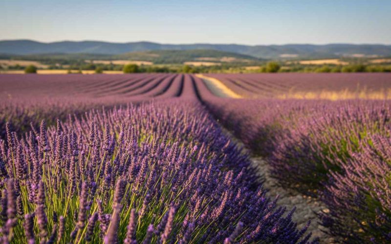 best places to visit in feb in the world